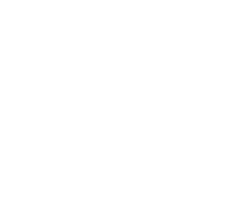 wondy